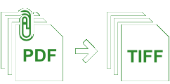 green-04